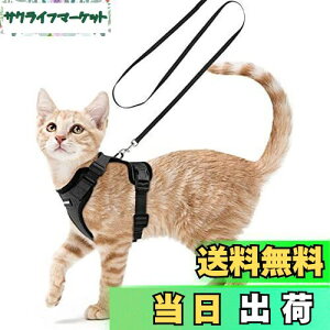 yzRabbitgoo L n[lX [h Zbg ^ Lp Ȃ ́[˂ \tg y グ TCY߉ lR U R 锽 ʋCbV Pݖh~ 