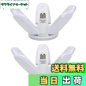 yzLaiqianle K[WCg 100w 2 LEDV[OCg y_gCg Ɠ 6 F 6500K VƖ tȒP Hsv px߉\ ȃGl Ԍ q [ HpCg 