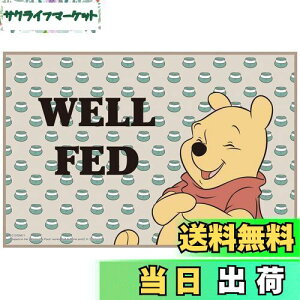 yzXP[^[(Skater) qp W[V[g  STCY 60×90cmTCY fBYj[ ܂̃v[ BOLD&TRU VS1-A