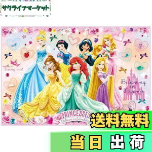 【送料無料】スケーター(Skater) 子供用 レジャーシート 遠足 Sサイズ 60×90cmサイズ ディズニー プリンセス 24 VS1-A