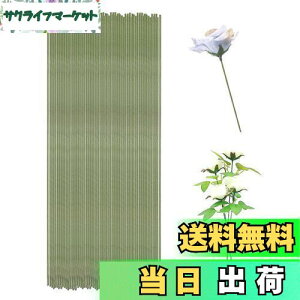 yzKDSSYFT Ԃ̌s 100{ 0.7mm t[DIYp nC[  |pLbg ԑ Mtgp Ȃ\ t[C[ `f (O[)