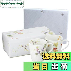 yzNARUMI(i~) yA}OJbv [V[K[f 370cc x[ 2Zbg 킢  [t 傫 j ̓ v[g dqW H@Ή Mtg