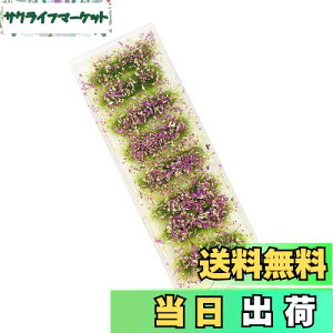 yzނ(΁EԂEp[v) WI}pf iRNV OX͌^ f  i  S͌^ WI} PJ08PU-1JP