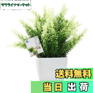 yzTOSSOW lHϗtA  tFCNO[ tFCNϗtA l CeA v[g Ηt