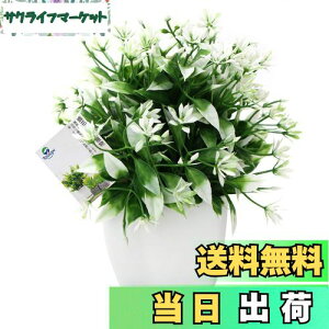 yzTOSSOW lHϗtA  tFCNO[ tFCNϗtA l CeA v[g ΂Ɣt