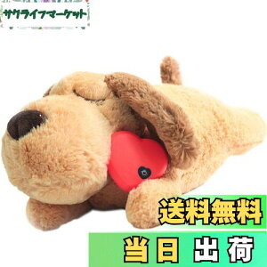 yzDEWU ybgpn[gr[gʂ݁Aqŝ\tgybgg[ʂ݃X[sOofBs⏕sɘa⏕ʂ݃X}[gL