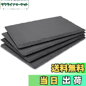 【送料無料】スレートストーン GOH DODD 4枚 25 × 12 cm 長角皿 天然石 プレートストーンおしゃれ な スライス (クッション付き)