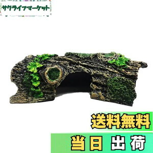 yzCharmoon ANAE IuWF  B  I[ig  u CeA 