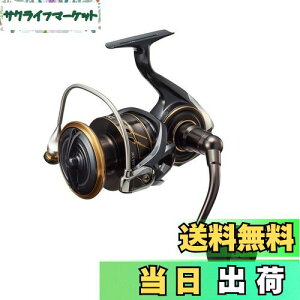 yz_C(DAIWA) XsjO[ 22CALDIA(JfBA) SW 10000-P