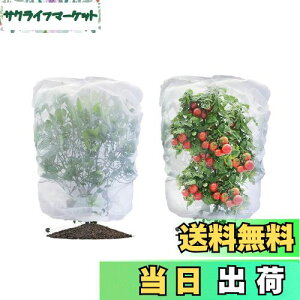 yzLIANHATA hlbg 2Zbg AیJo[ bVВ hlbg 悯Jo[ ؖ ΍ ʋC  Ap ؍͔| ؉v^[p (80*80cm)