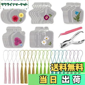 DELUXEFOX Lbg 20Zbg hCt[̂   ԃLbg    ubN}[N  {g AW{  蒠p Ǐp[gp DIY