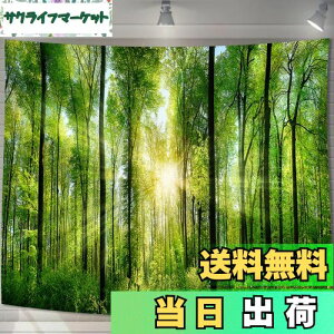 yzU-SITU ^yXg[ Ǌ| Ǐ X  ъ RiF IV wi @\ z|X^[ CeA ͋C]iTCYF75cm x 100cmjJ[FGT0107SA