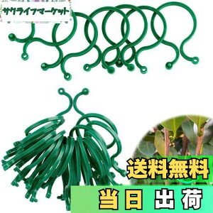 yzUNbv | Nbv AT|[gNbv xNbv oh ̐AT|[gO |p֗Nbv U T|[g ږ؂ 鐫A̗U ʕ