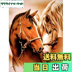 yzReofrey _Ch̊G n, _ChA[g NXXeb` Lbg , Lbg Sʓ\t^Cv r[YA DIY |Lbgz[ Xg CXg[ 