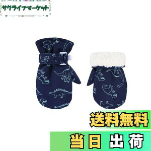 yz[Tidyworm] xr[    ~ Ԃ  ~g h h V LbY  O[u j̎q ̎q qp ΍ ʉ ʊw AEghA (lCr[, 6`2)