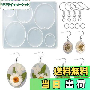 【送料無料】5WYOUKE 楕円形 イヤリングモールド シリコンモールド レジン モールド 楕円 イヤリング 金具付き 穴あけ サイズ違い エポキシ樹脂 手作り ペンダント ジュエリーモールド ピアス