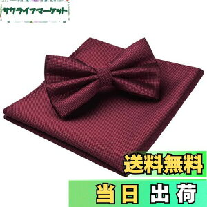 yz[HISDERN]  lN^C Y  `[t Zbg yCY[  n {E^C ԕ uh v[g BR-01