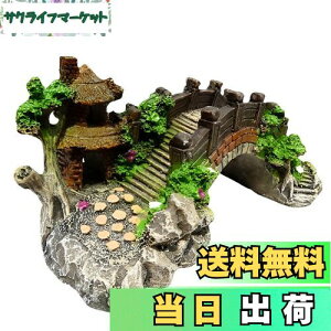 yzCharmoon ANAE  IuWF  A[` B VF^[ A a {뉀 (S, O[)