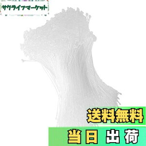 yzDFsucces ^Ot@Xi[ [vbN 1000{ lD ɕ֗ [vs vX`bN Xܗp e[v  ^O Ɩp mp (, 18cm)