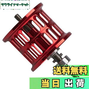 yzHEIGHTEN [ Xv[ _C(DAIWA) PR100 PT100 xCg[ ւXv[ xAOt (bh) (419)