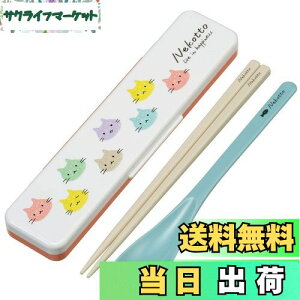 yzXP[^[(Skater)  Xv[ RrZbg 18cm RۉH ٓ lp VRNbVtŉȂȂ { ˂ Jt CCS3SAAG