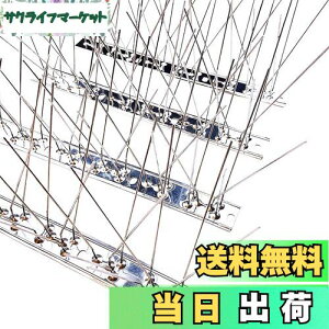 yzONESORA  悯 100%XeX o[hs ϋv y 3mz 悯 XpCN 悯 R LhS JX悯 ̃tQ΍  x_ J[|[g  Ԍ A