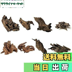 yz8 كVN R GCuؐ̑ i 8`10cmj