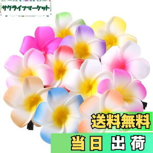 yzFrcolor  wAs wANbv  vA wAANZT[ wANbv nC  wbhhX 6cm 12F 24Zbg