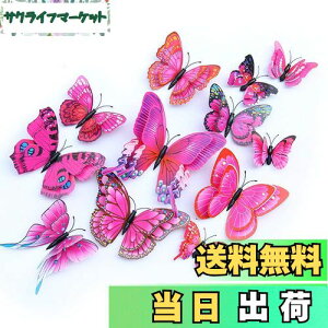 yzULIN  3D  EH[XebJ[ ǎV[  ʃe[v V[ rO ① CeA ǃV[  킢 EH[y[p[ |X^[ p[v