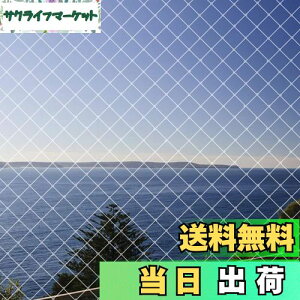【送料無料】防鳥ネット ベランダ鳥よけネット 幅4m×長さ10m カラス 鳩対策防鳥網 果樹守りや野菜栽培や防獣ネット 猫侵入脱走防止 透明色 (結束バンド 15本付き)Limthe