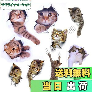 yzPazi EH[XebJ[ L   XebJ[ ˂ V[ 킢 3D ȒP DIY  \Ă͂  ǎ gC  Lb` CeA