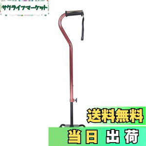 yzSUKONG  4_  p y  Lk ߉\ XebL s⏕  nr hV̓ (bh)