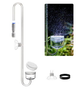 yzClscea pCO2fBt[U[AN_uU^