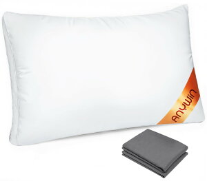 yzAnywin  Jo[2t ܂ zedl    Ή ې􂢉\ ̍\