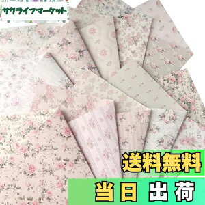 yzTOHYAN A4 ʃfUCy[p[ sNnԕ o@㎿90 fU  1050 { J[ fUCp R[W bsOy[p[ {^jJ@GKg@