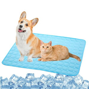 yzybg Ђ}bg  L N[}bg 40×50cm  Ђ p }bg  M M΍ ڐG⊴