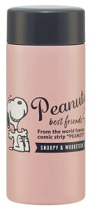 yzXP[^[(Skater) lp XeX  Xk[s[