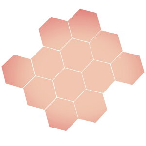 yzBIRLD EH[ ~[ XebJ[  \t  WALL MIRROR STICKER Ȃ Zp`  12