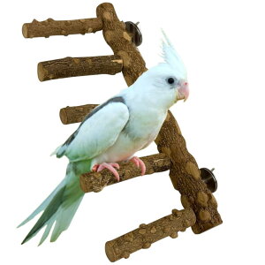 yzYFFSFDC ~܂ ܂𖁂 ނ R ~܂ xݑ Vя oXK XgXCR IE   ZLZCCR ₷݃{[h Vѓ