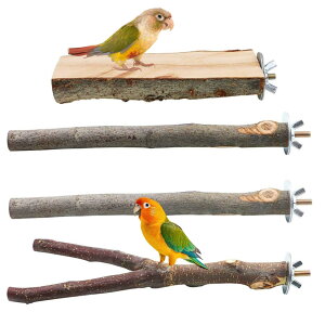 yzYFFSFDC ~܂ ܂𖁂 ނ R ~܂ xݑ Vя oXK XgXCR IE   ZLZCCR ₷݃{[h Vѓ