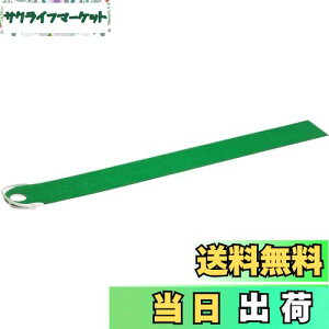 【送料無料】Tabata(タバタ) ゴルフ フラットパターマット 1.6 GV0139 パターマット パター練習 人工芝 パッティング練習 ゴルフ練習用マット フラットマット