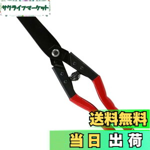 �y���������zSK11(�G�X�P�[11) �y�J�b�g������ �g�� WSR-270W ��R���؂�i�߂���