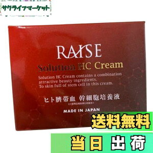 yzRAISE (CY) \[VHC `ьR qg זE |{t XeZ EGF FGF nvZ^ N[ 30g