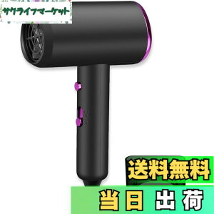 �y���������z�h���C���[ �啗�� �h���C���[ 1200W 3�i�K���߉\ �����E�╗�؂�ւ� �m�Y���t�� �w�A�P�A �R���p�N�g �ߔM�ی� �~���[�g �T�������x�� �F�F��