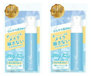 �y���������z�y�܂Ƃߔ����z���C�N�v���e�N�g�~�X�g COOL �Ђ���N�[���^�C�v 100ml ���C�N����h�~ ���C�N�L�[�v�~�X�g �d�グ�p ���ϐ� �����g�[���z�� �T�C�Y�F100ml