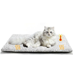 yzLittle Beanybgpzbg}bg dCsp ̉Œ~M ybgxbh L p xbh}bg _炩 g ybgNbV Iۉ H~ ΍ 􂦂  L ~