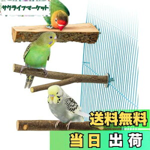 yzYINKE ~܂ ~܂ ܂𖁂񂲂̖ R ܂ p[` CR IE  IE  ₷݃{[h ނ P[WX^h P[WANZT[  Xg