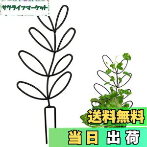 yzYUWENW |x Ax 1Zbg Ԃ Ԏx AT|[g ϗtA T|[g A|h~ Œ\ ėp\ AŒ A UT|[g 鐫Ap 