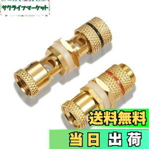 �y���������z�y�o�i�i�v���O���p ���X���X�zby �yWYVERN AUDIO�z �o�i�i�v���O������/���p�I ���v�≏���� ���X�̃��X WV-CHU-K ��1��1 (2��1�g)