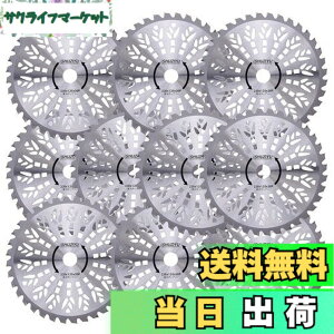 �y���������zSHUZIYU �����@�p�`�b�v�\�[ 230x36P 10���g
